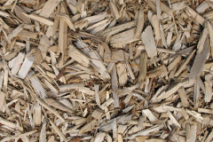 biomass boilers Long Thurlow